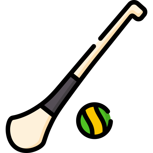 Hurling/Camogie